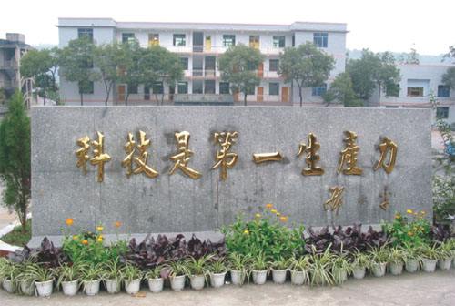 ���e����¡�r�I(y��)�����Ŀ