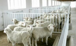 �F(xi��n)���B(y��ng)ֳ�������x����ι�ˮ�O(sh��)����