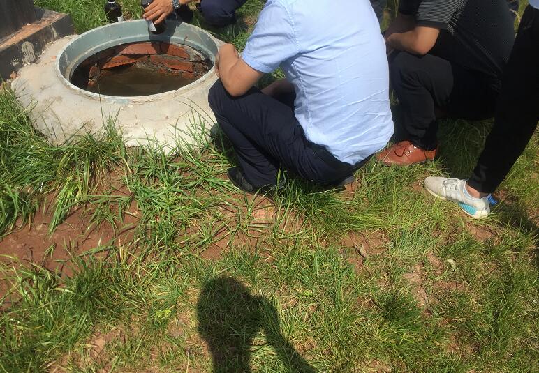 �ߘǌ� �����ι�ˮ���ɿ�����